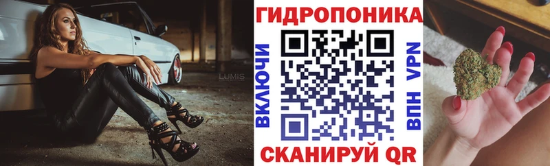 Где купить наркоту Киров МАРИХУАНА  КОКАИН  ЭКСТАЗИ  АМФЕТАМИН  ГАШ  A-PVP  Бутират 