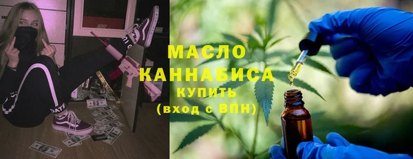 молекула духа Козельск
