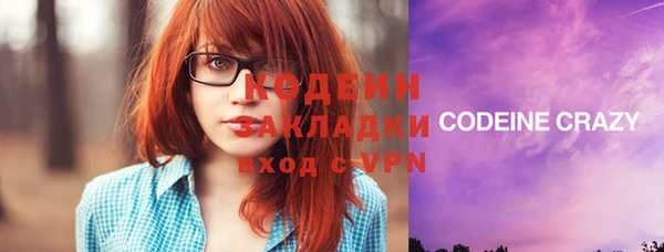 молекула духа Козельск