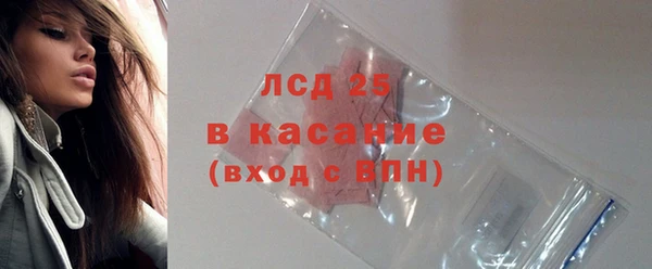 молекула духа Козельск