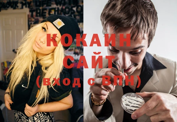 молекула духа Козельск