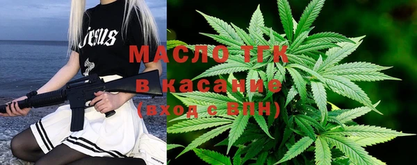 молекула духа Козельск