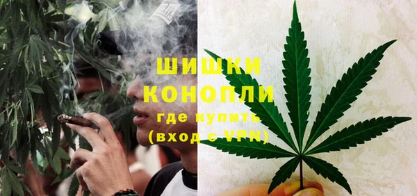 молекула духа Козельск