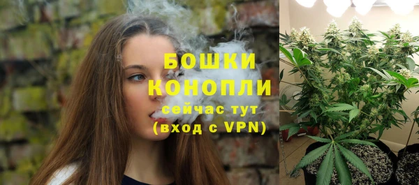 молекула духа Козельск