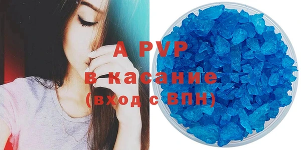молекула духа Козельск