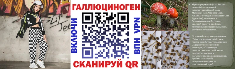 omg как зайти где можно купить Киров Псилоцибиновые грибы Psilocybe