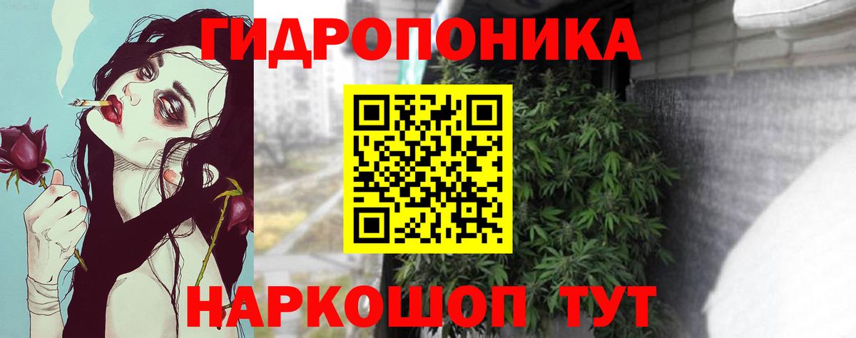 Бошки марихуана индика Киров